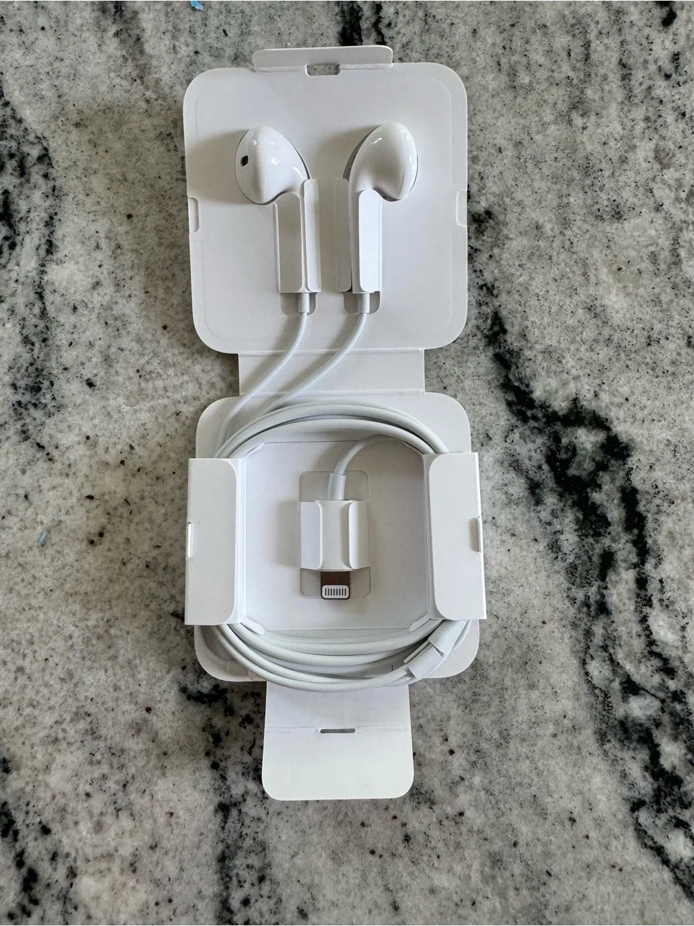 Apple Wired Earphones with lightening connector